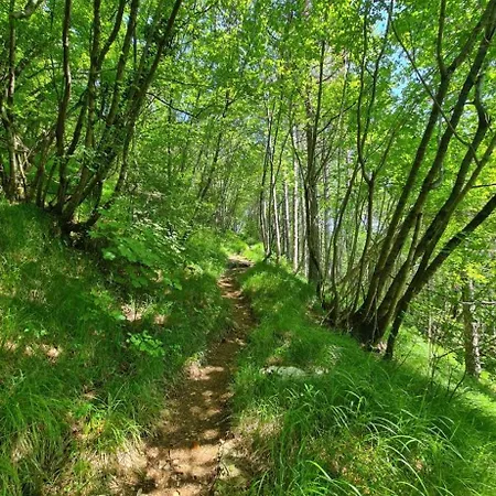 Blue & Apartamento *