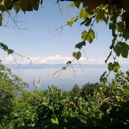 Blue&green * Mošćenička Draga