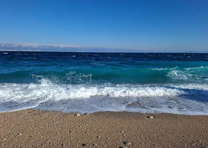 Blue &