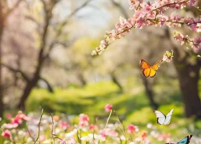 Διαμέρισμα Blue & *