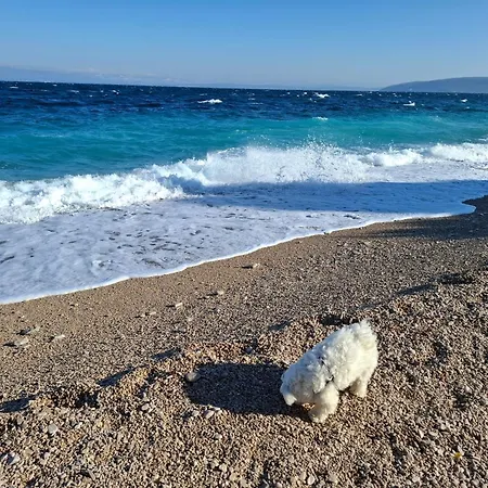Blue & * Mošćenička Draga