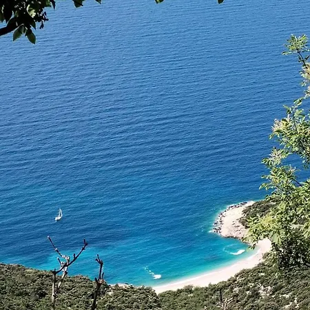 Апартаменты Blue &