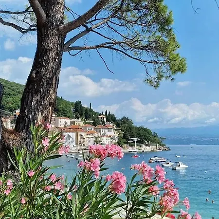 Blue & Апартаменты