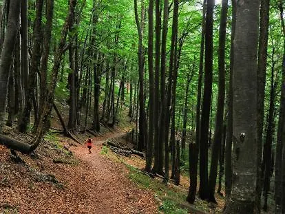 Апартаменты Blue & Мощеничка-Драга