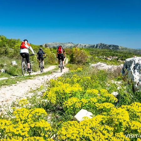 Blue & Апартаменты Мощеничка-Драга