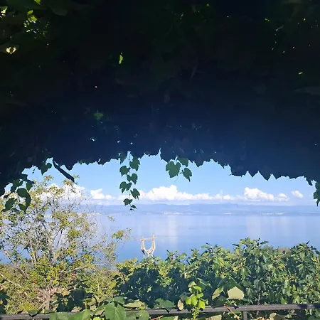 Апартаменты Blue & *