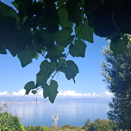 Blue & Апартаменты Мощеничка-Драга