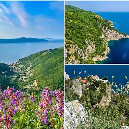 Апартаменты Blue & Мощеничка-Драга