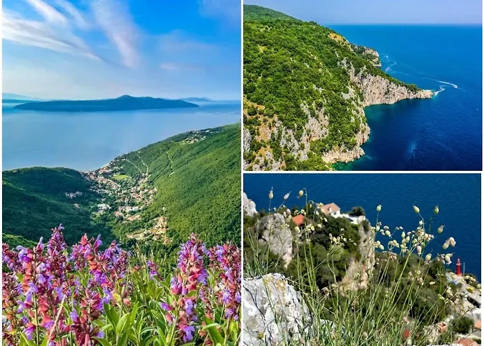 Apartment Blue & Mošćenička Draga